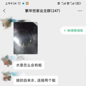 太惡心！小區(qū)自來水中驚現(xiàn)“活物”