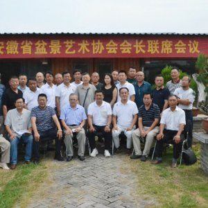 安徽省盆景藝術協(xié)會會長聯席會議在阜陽召開