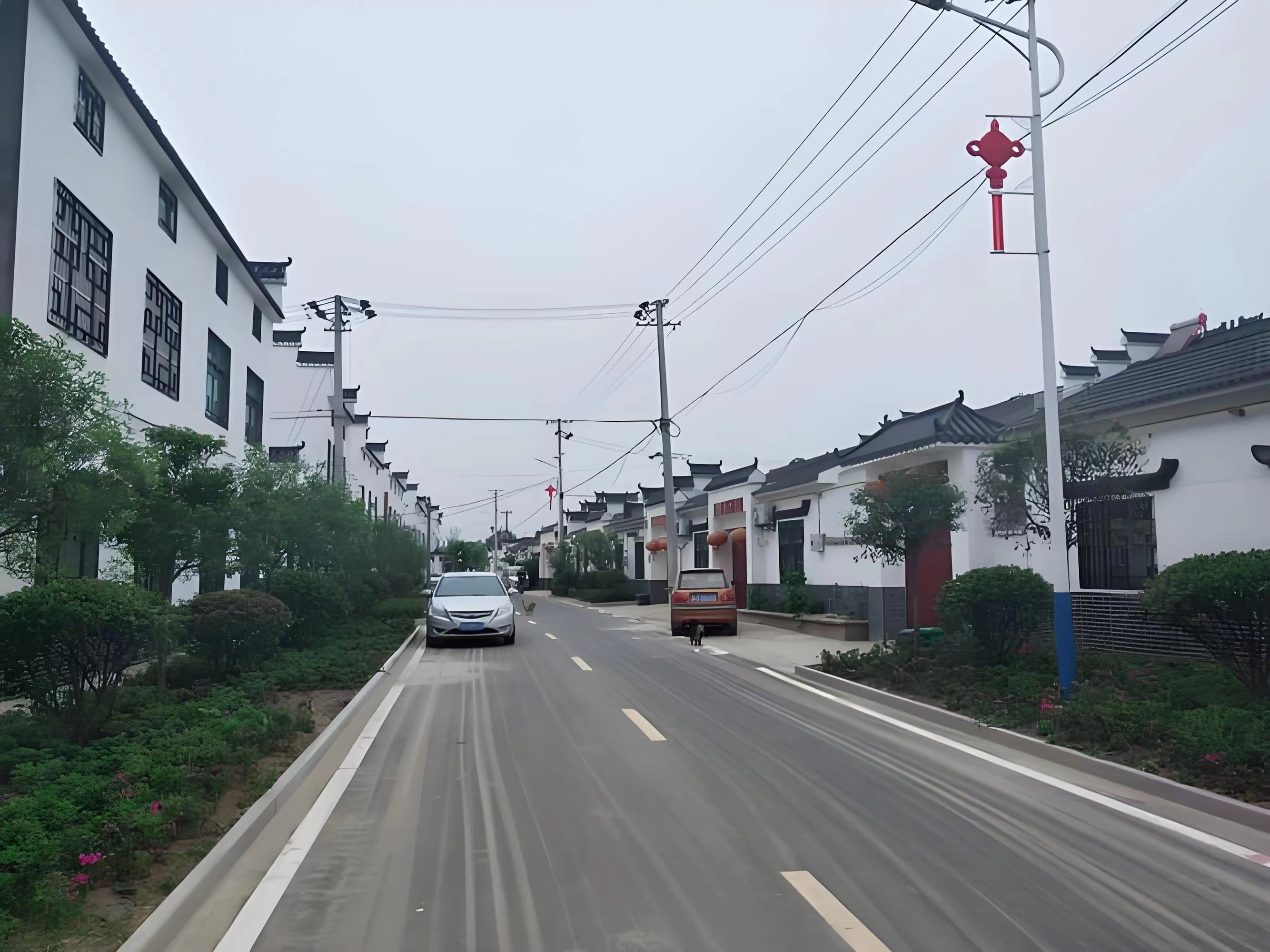 傳承紅色基因，續(xù)寫(xiě)潁上黃壩發(fā)展新篇章