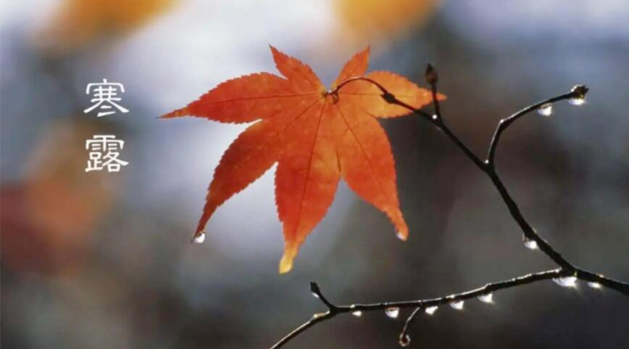 寒露時(shí)節(jié)！金環(huán)電器提醒大家要注意的事項(xiàng)