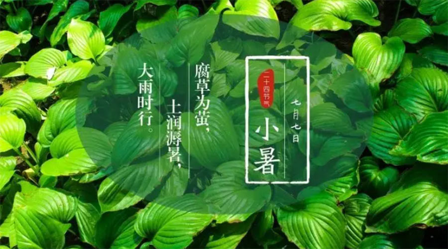 小暑時(shí)節(jié)來到！金環(huán)電器提醒大家要注意的事項(xiàng)