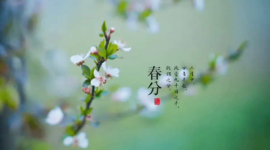 春分雨水多易生菌！金環(huán)電器提醒你衣物要注意處理