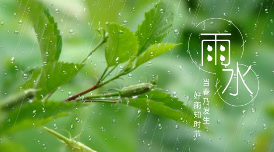 雨水時(shí)節(jié)！金環(huán)電器提醒大家要注意的事項(xiàng)