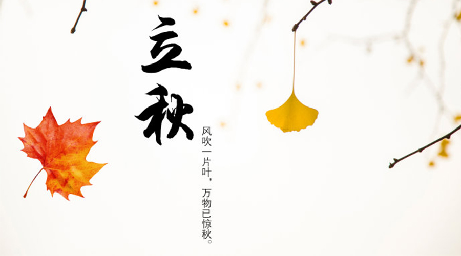 立秋時(shí)節(jié)！金環(huán)電器提醒大家要注意這些事項(xiàng)